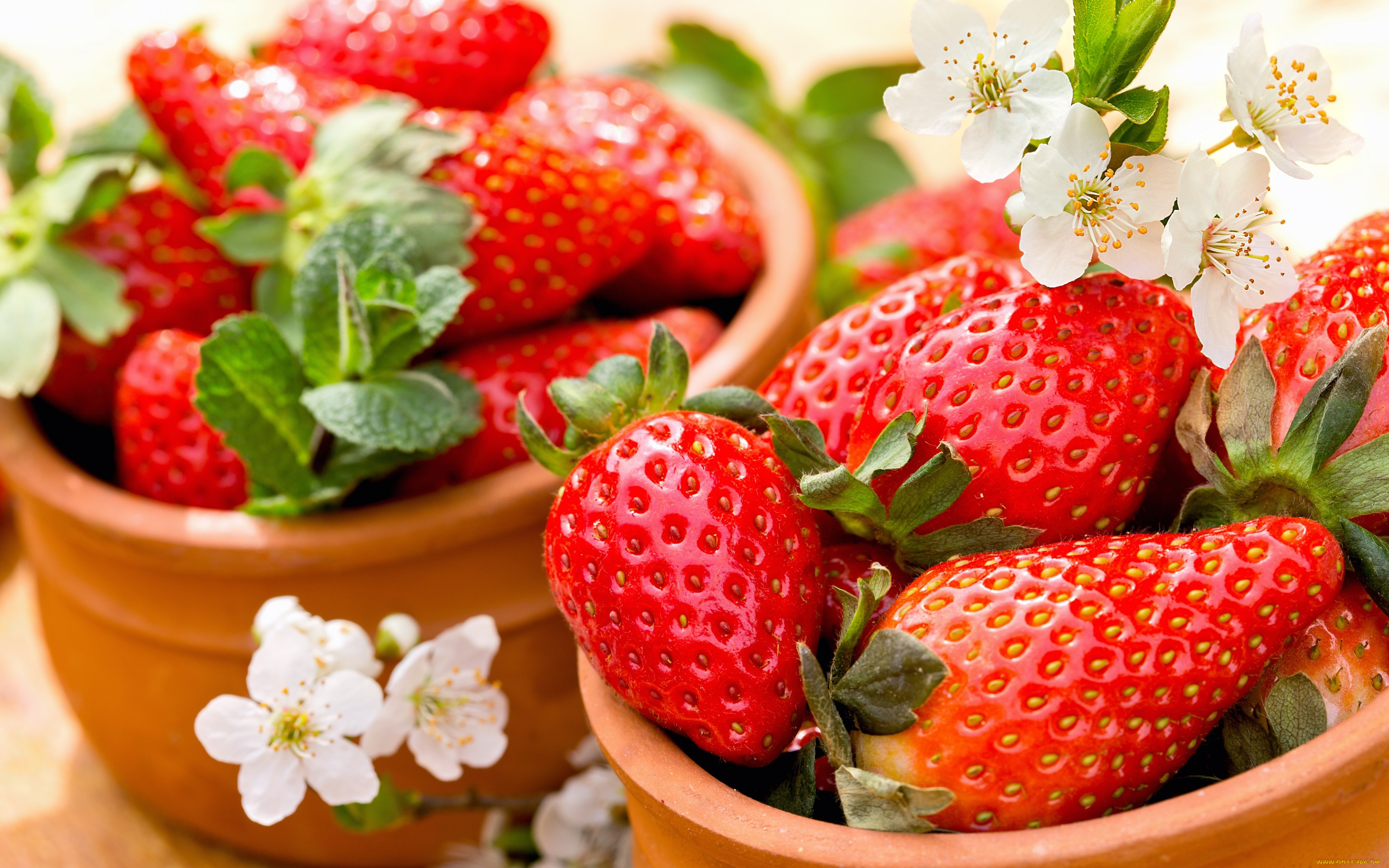 , ,  , , , , fresh, berries, strawberry, 